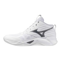 Мужские волейбольные кроссовки Mizuno Wave MOMENTUM PRO MID (V1GA254583)