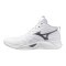 Мужские волейбольные кроссовки Mizuno Wave MOMENTUM PRO MID (V1GA254583)