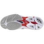 Мужские волейбольные кроссовки Mizuno Wave LIGHTNING PRO (V1GA266059)
