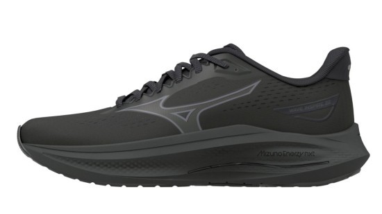 Женские беговые кроссовки Mizuno Wave INSPIRE 22 D (J1GD264526) фото 1