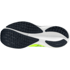 Мужские кроссовки для бега Mizuno Wave RIDER 29 (J1GC250351)