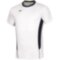 Мужская волейбольная футболка Mizuno PREMIUM HIGH-KYU TEE (V2EA700271)