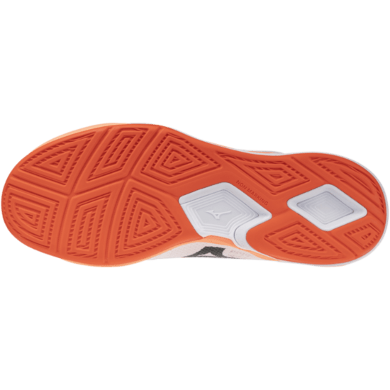 Чоловічі гандбольні кросівки Mizuno Wave STEALTH PRO (X1GA268080) фото 2