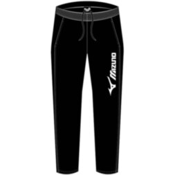 Мужские спортивные штаны Mizuno TAKESHI TRACK PANT(M) (32ED4A0109)