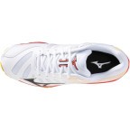 Мужские волейбольные кроссовки Mizuno Wave VOLTAGE 2 (V1GA246098)