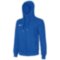 Мужское худи Mizuno SWEAT FZ HOODIE (32EC8500C22)