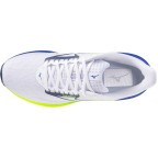 Мужские кроссовки для бега Mizuno Wave RIDER 29 (J1GC250353)