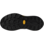 Жіночі трейлові кросівки Mizuno NEO DAICHI 10 GTX (J1GW268272)