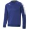 Детская тренировочная толстовка Mizuno NARA TRAINING SWEAT JR (32FC9B0314)
