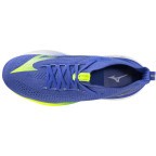 Мужские кроссовки для бега Mizuno NEO VISTA 2 (J1GC253451)