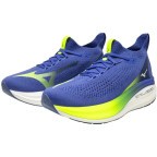 Мужские кроссовки для бега Mizuno NEO VISTA 2 (J1GC253451)