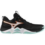 Мужские волейбольные кроссовки Mizuno Wave MOMENTUM ELITE (V1GA251212)