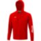 Мужское худи Mizuno TERRY HOODIE (32EC7B60C62)