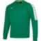Детская тренировочная толстовка Mizuno NARA TRAINING SWEAT JR (32FC9B0338)