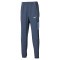 Мужские спортивные штаны Mizuno FRONTIER SHADOW PANTS (62GDD00112)