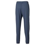 Мужские спортивные штаны Mizuno FRONTIER SHADOW PANTS (62GDD00112)