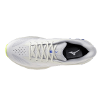 Чоловічі кросівки для бігу Mizuno Wave SKYRISE 7 (J1GC260902)