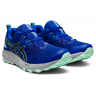 Женские ASICS GEL-Sonoma 6 (1012A922-407)