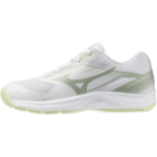 Женские волейбольные кроссовки Mizuno CYCLONE SPEED 5 (V1GC258085)