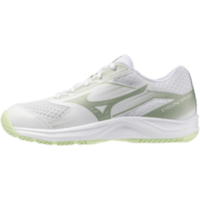 Жіночі волейбольні кросівки Mizuno CYCLONE SPEED 5 (V1GC258085)