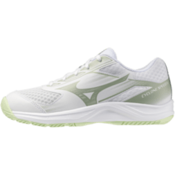 Женские волейбольные кроссовки Mizuno CYCLONE SPEED 5 (V1GC258085)