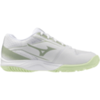 Женские волейбольные кроссовки Mizuno CYCLONE SPEED 5 (V1GC258085)