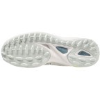 Мужские кроссовки для хоккея на траве Mizuno Wave LEOPARDUS (X1GA231135)