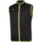 Мужской дождевик для бега Mizuno AUTHENTIC RAIN VEST (U2EE710209)