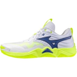 Чоловічі волейбольні кросівки Mizuno Wave MOMENTUM ELITE (V1GA251239)