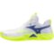 Мужские волейбольные кроссовки Mizuno Wave MOMENTUM ELITE (V1GA251239)