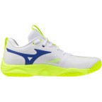Мужские волейбольные кроссовки Mizuno Wave MOMENTUM ELITE (V1GA251239)