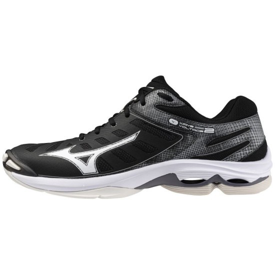 Мужские волейбольные кроссовки Mizuno Wave VOLTAGE 2 (V1GA246052) фото 1