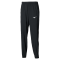 Мужские спортивные штаны Mizuno FRONTIER SHADOW PANTS (62GDD00109)