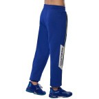 Мужские спортивные штаны Mizuno ATHLETICS SWEAT PANT(M) (K2GDC00222)