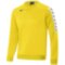 Мужская толстовка Mizuno NARA TRAINING SWEAT M (32FC9A0344)