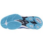 Мужские волейбольные кроссовки Mizuno Wave VOLTAGE 2 (V1GA246001)