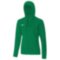 Мужское худи Mizuno SWEAT FZ HOODIE (32EC8500C38)