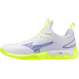 Мужские волейбольные кроссовки Mizuno Wave LUMINOUS 3 (V1GA242039)