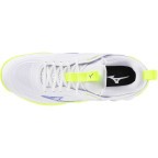 Мужские волейбольные кроссовки Mizuno Wave LUMINOUS 3 (V1GA242039)