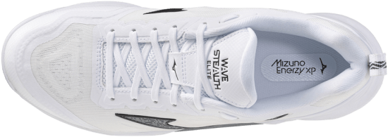Мужские гандбольные кроссовки Mizuno Wave STEALTH ELITE (X1GA266083) фото 4