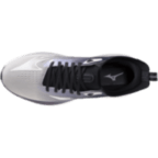 Мужские беговые кроссовки Mizuno NEO ZEN 2 SPECIAL PACK (J1GS261199)