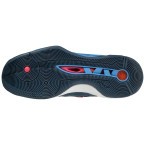 Мужские волейбольные кроссовки Mizuno Wave MOMENTUM 2 MID (V1GA211721)