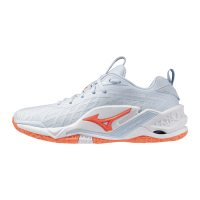 Женские гандбольные кроссовки Mizuno Wave STEALTH NEO 2.1 (X1GB264084)