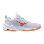 Женские гандбольные кроссовки Mizuno Wave STEALTH NEO 2.1 (X1GB264084)