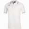 Мужское поло Mizuno MEN POLO (32EA7041C71)