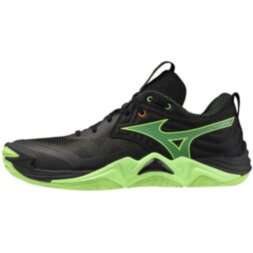 Чоловічі волейбольні кросівки Mizuno Wave MOMENTUM ELITE (V1GA251249)