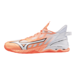 Мужские гандбольные кроссовки Mizuno Wave MIRAGE 5 (X1GA235080)