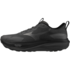 Мужские трейловые кроссовки Mizuno Wave RIDER GTX 4 (J1GM263052)