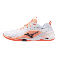 Мужские гандбольные кроссовки Mizuno Wave STEALTH NEO 2.1 (X1GA264080)