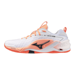 Мужские гандбольные кроссовки Mizuno Wave STEALTH NEO 2.1 (X1GA264080)